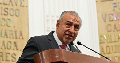 Pide Pablo Trejo a realizar diagnóstico técnico del arbolado en la Agrícola Oriental para prevenir riesgos por lluvias